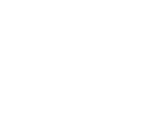 PLUS EXPERTS